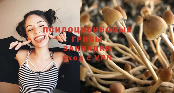 а пвп мука Вяземский