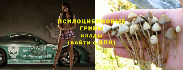 а пвп мука Вяземский