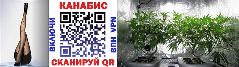 Бошки Шишки White Widow Купить закладки Сокол